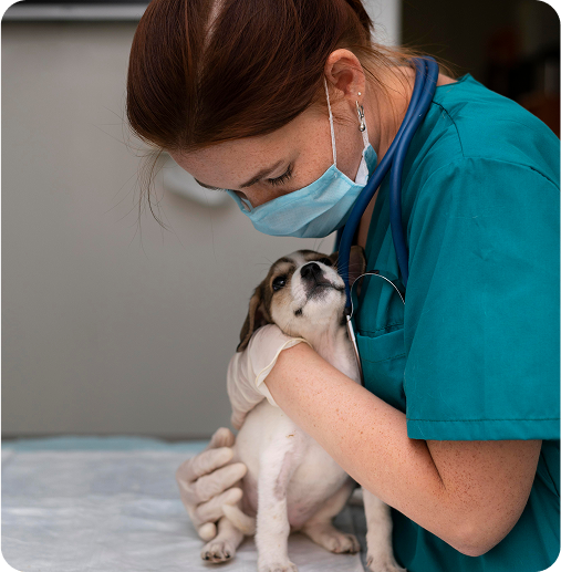 Vet holding a puppy